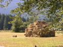 Hay Stack In August
Picture # 2346
